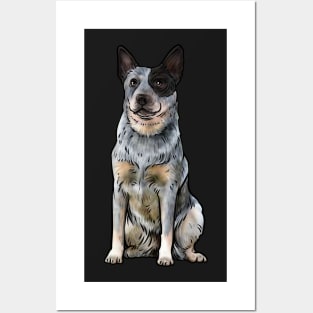 Australian Cattle Dog Blue Heeler Posters and Art